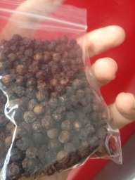 北インドのブラックペッパー(黒胡椒)