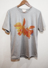 CATTLEYA
