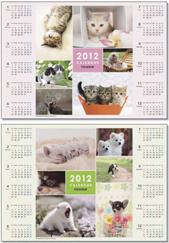 フジフィルム ペット(犬・猫)カレンダー 2012 1年分 未使用